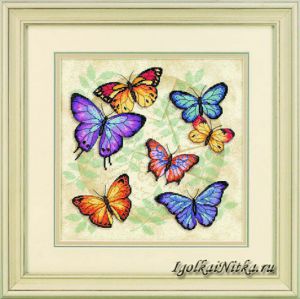 Butterfly Profusion 35145 / Обилие бабочек