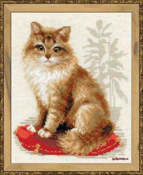 Кошка домашняя 1525