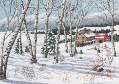 Birch  View 13627 / Вид с березы