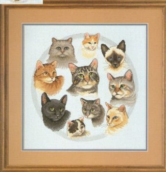 Circle Of Friends 13628 / Круг друзей
