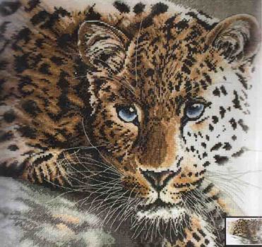 Rare Beauty 5678000-01231 / Редкая красота