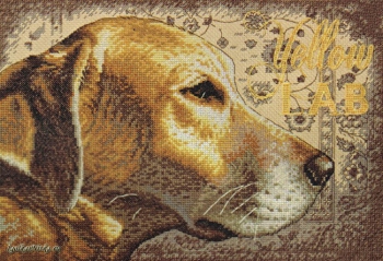 Yellow Lab 70-35273 / Золотой лабрадор