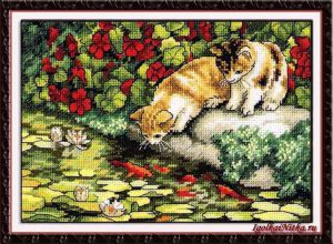 Kitten Reflections 65071 / Отражения котят