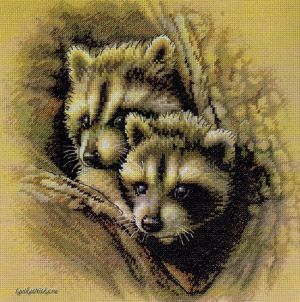 Two Raccoon Cubs 35253 / Два Детёныша Енота