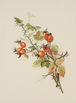 Autumn Briar 04.001.05 / Осенний шиповник