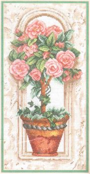 Rose Topiary 13674 / Роза Топиар