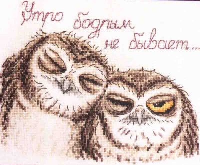 Sleepy Owls 15.002.02 / Сони совули