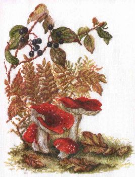 Toadstools 04.012.01 / Мухоморы