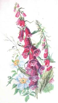 Foxglove and Briar 04.004.07 / Наперстянка и шиповник