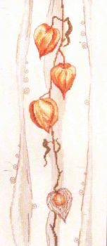Physalis 04.003.06 / Физалис