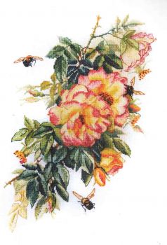 Blooming Briar 06.002.47 / Цветущий шиповник