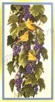 Vineyard Goldfinches 03248 / Щеглы на винограднике