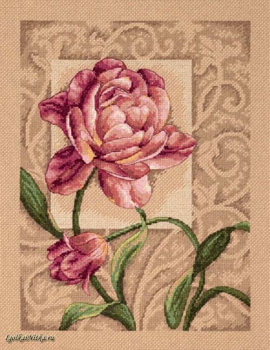 Graceful Tulip 35239 /  Изящный Тюльпан