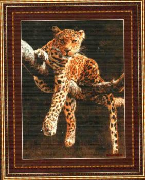 Hypnotic Leopard 99237 / Гипнотический взгляд леопарда