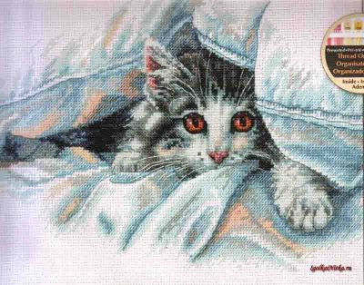 Cat Comfort 70-35341 / Уютное место кошки