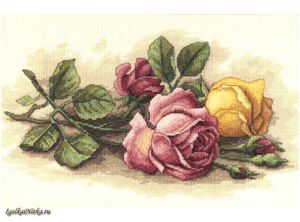 Rose Cuttings 13720  / Срезанные розы