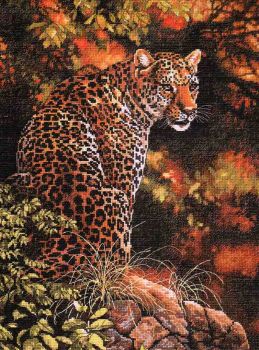Leopard's Gaze 35209 / Пристальный взгляд леопарда