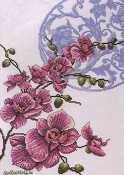 Orchids  2727 / Орхидеи