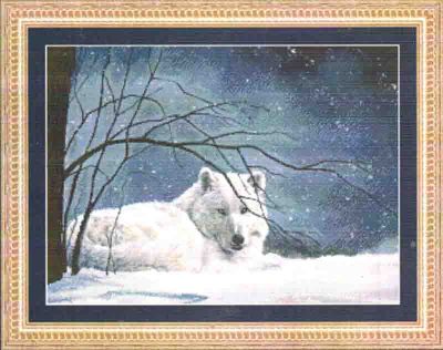 Snowy 98663 / Белоснежный волк