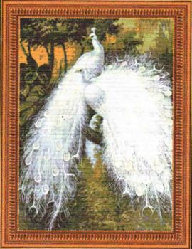 White Peacocks 2 95183 / Белые павлины