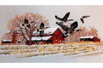 Winter Geese 013732 / Зимние гуси