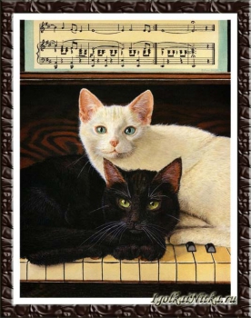 Ebony and Ivory 70-35269 / Черное и белое
