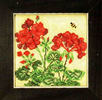 Geranium MH14-1816 / Герань