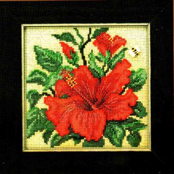 Hibiscus MH14-1915 / Гибискус