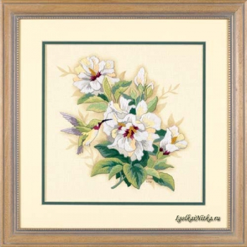 Hibiscus Floral 01544 / Букет гибискуса