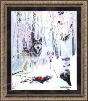 Winter Wolves 99897 / Волки в зимнем лесу