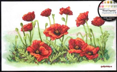 Field of Poppies 03237 / Поле маков