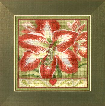 Amaryllis MH14-2335 / Зимний цветок (Амариллис)
