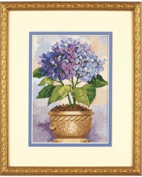 Hydrangea in Bioom 6959 / Гортензия в горшке