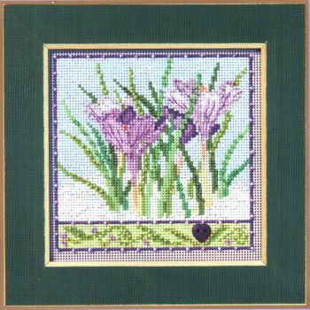 Crocuses MH14-2436 / Крокусы