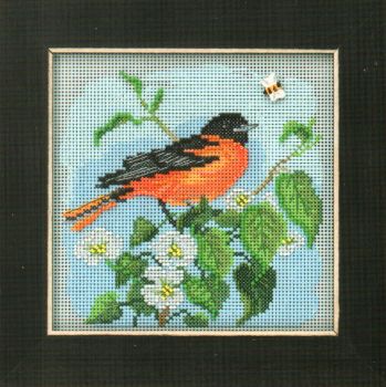 Baltimore Oriole MH14-2012 /  Балтиморская иволга