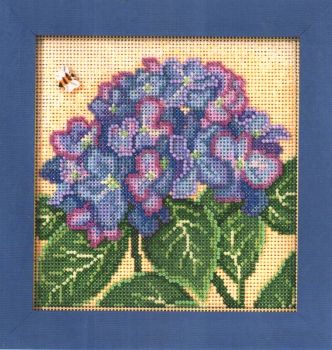 Hydrangea MH14-1715 / Гортензия (Китай)