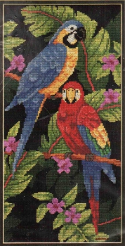 Tropical Birds 3722 / Тропические птицы