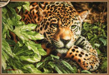 Leopard in Repose 70-35300 / Леопард на отдыхе