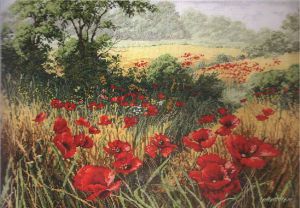 A Host Of Poppies APC935 / Маковое Поле