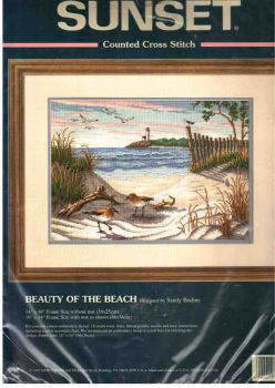 Beauty of the Beach 13634 / Красота Пляжа (США)