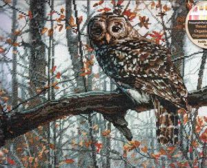 Wise Owl 70-35311 / Мудрая Сова