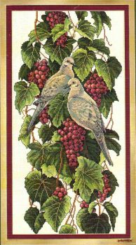 Vineyard Doves 03247 / Голуби На Винограднике