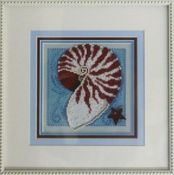 Nautilus Shell MH14-0105 / Ракушка