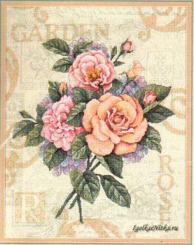 Rose Garden Cuttings 35143 / Черенки садовой розы