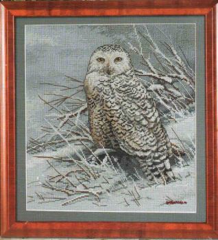 Snowy Owl 45470 / Снежная сова
