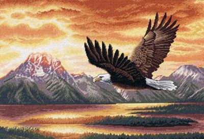 Silent Flight 351650 / Бесшумный полет (США)