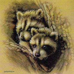 Two Raccoon Cubs 35253 / Два Детёныша Енота