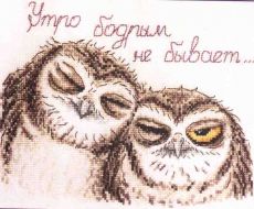 Sleepy Owls 15.002.02 / Сони совули
