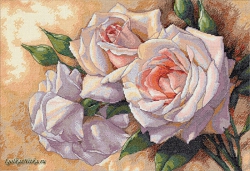 White Roses 35247 / Белые розы