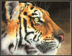 Regal Tiger 35171 / Царственный тигр